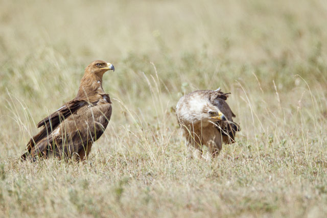 20120112-Liben-Plain-00259-Edit